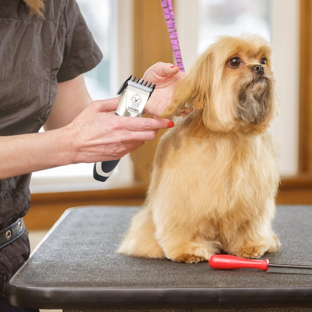 Dog Grooming Clippers
