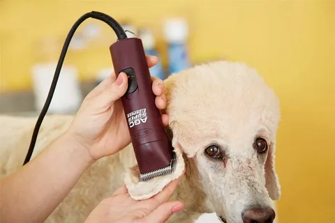 Benefits of Using Dog Grooming Clippers
