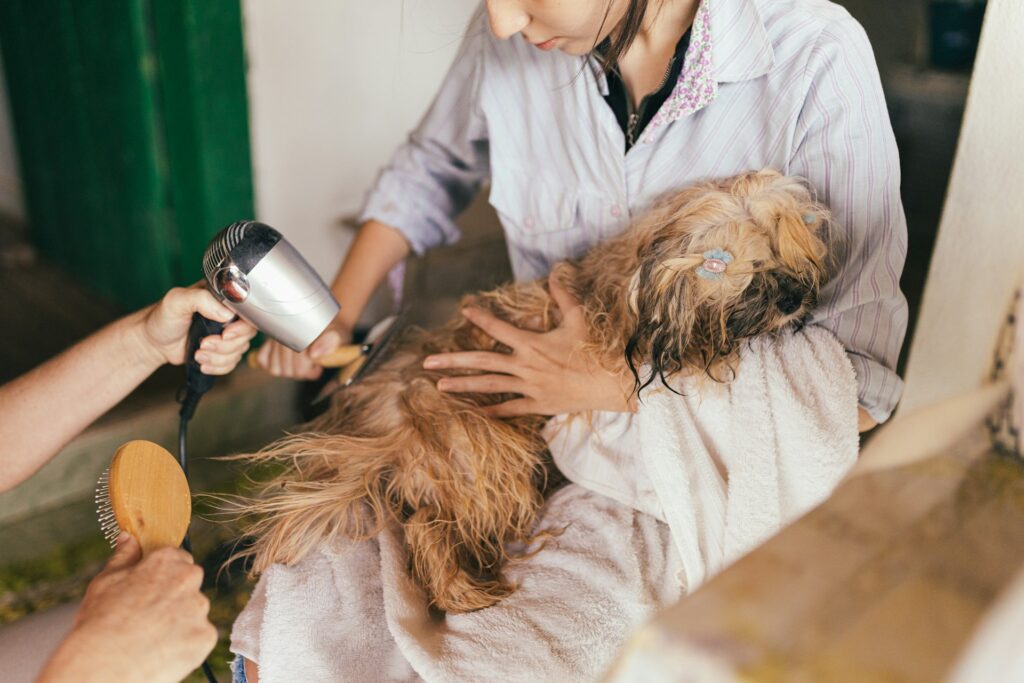 Brush Dog Grooming