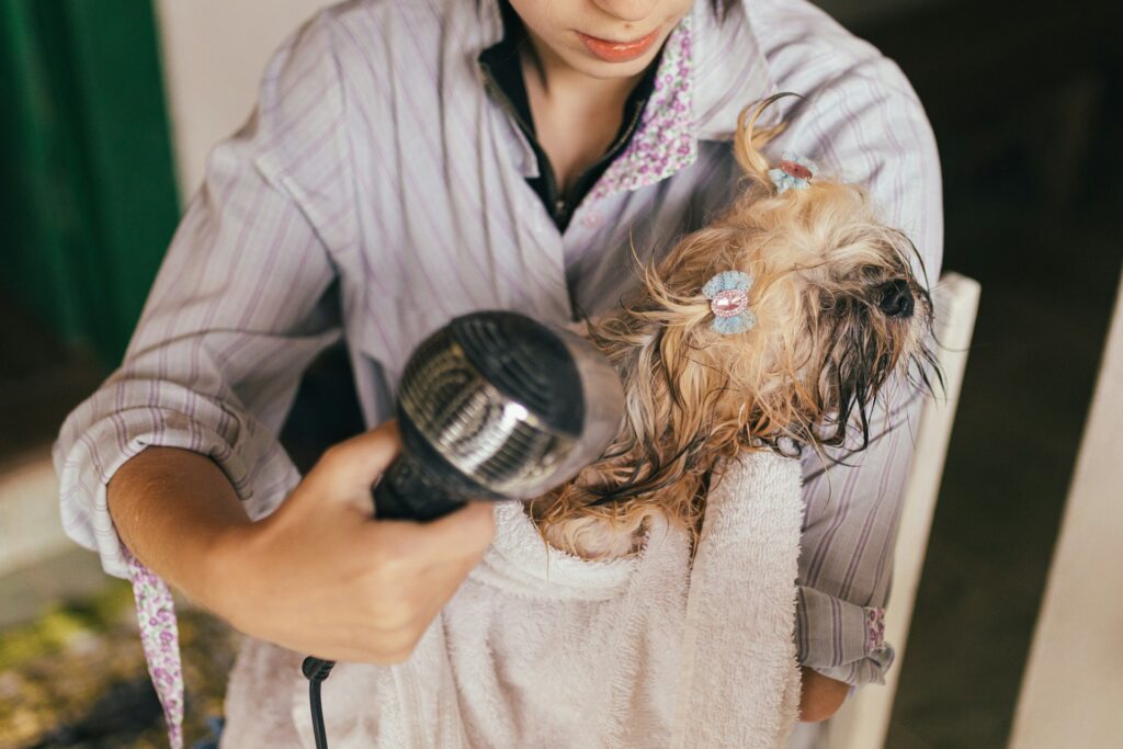 Dog Grooming Clippers
