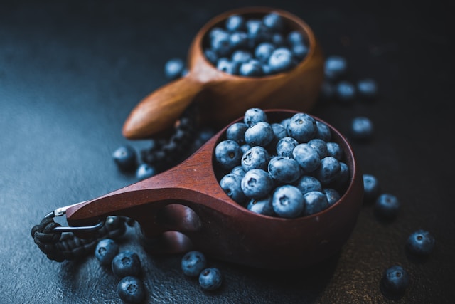 Can Dogs Eat Blueberries