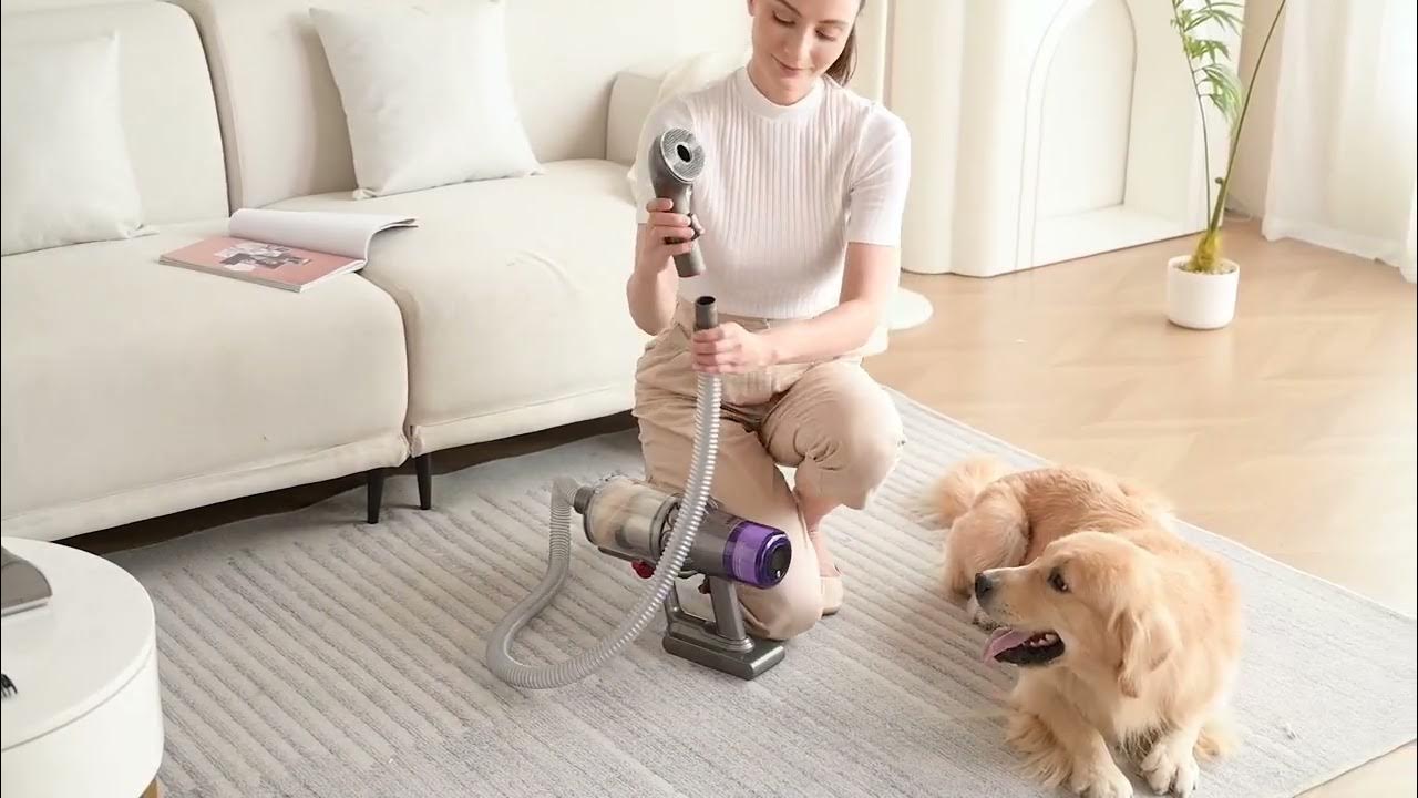 What Is a Dog Grooming Vacuum Full Guide
