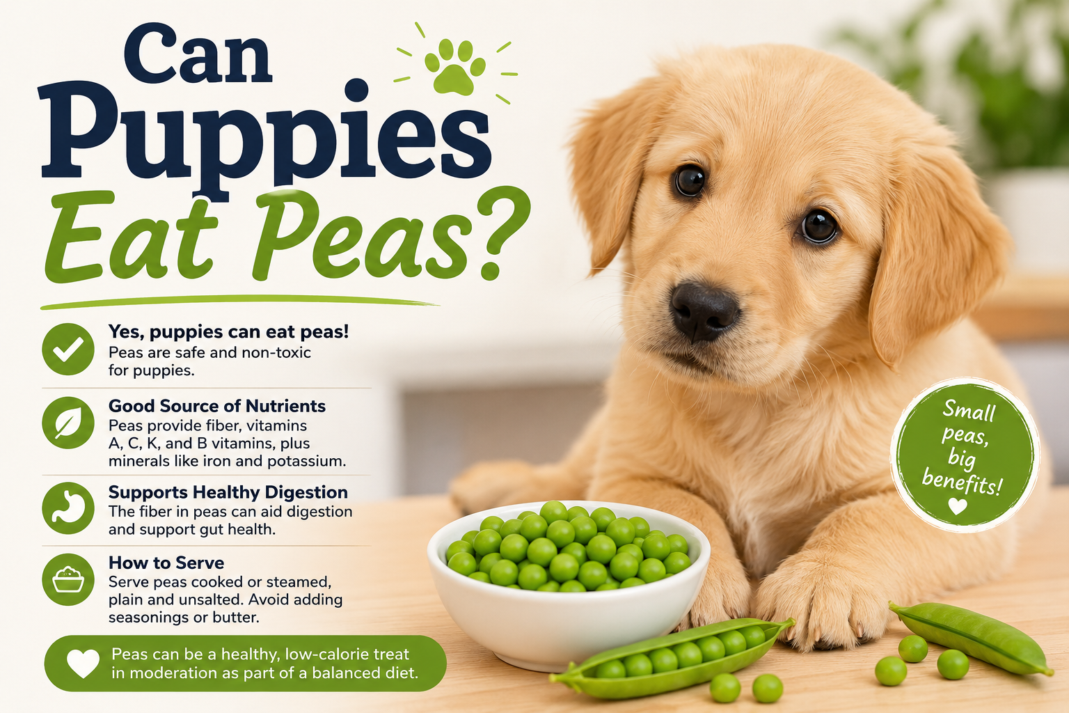 Can Puppies Eat Peas? A Deep Guide for Dog Owners