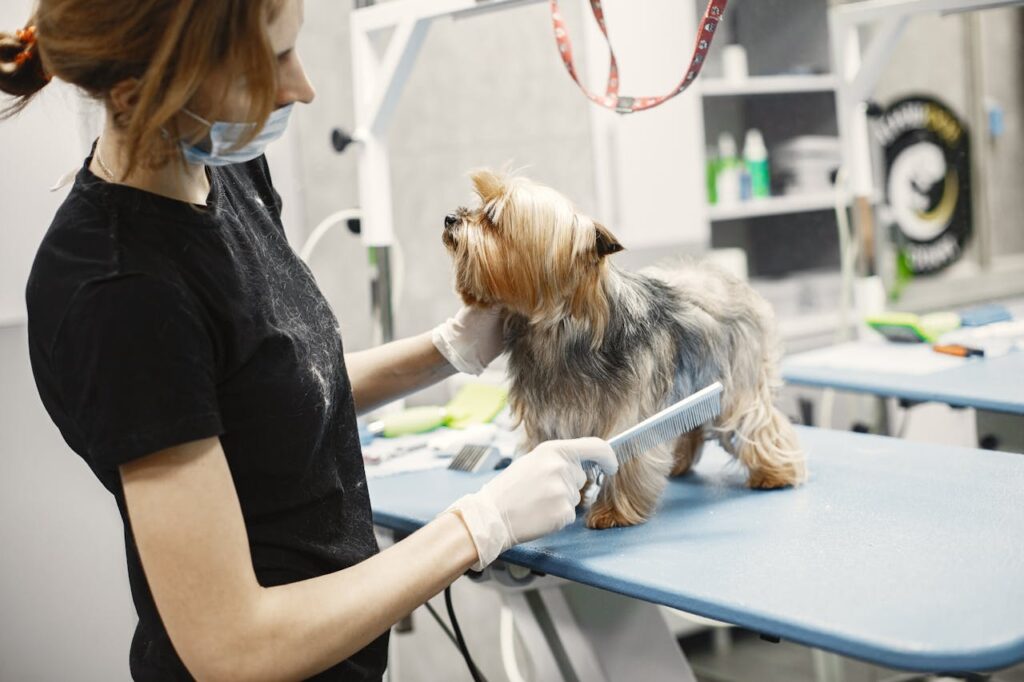 Dog Grooming Tools