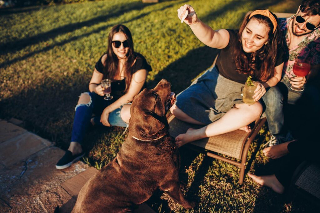 Are Cucumbers Good for Dogs