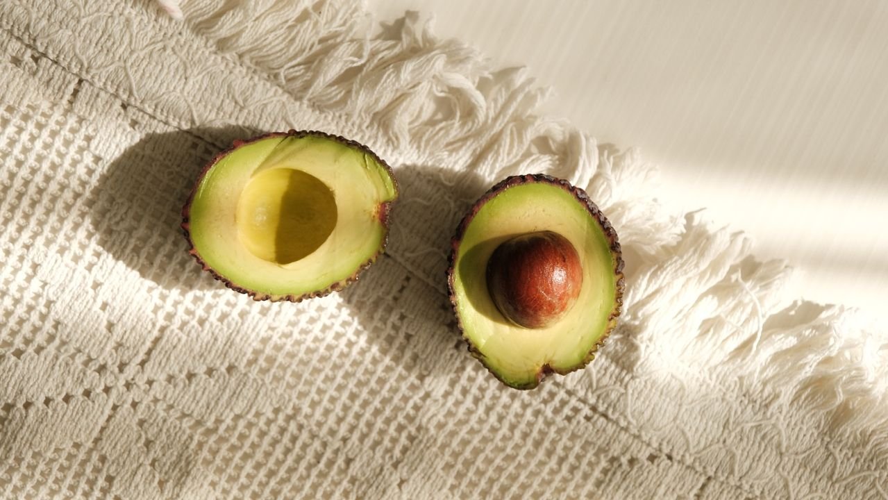 Can Dogs Eat Avocado?