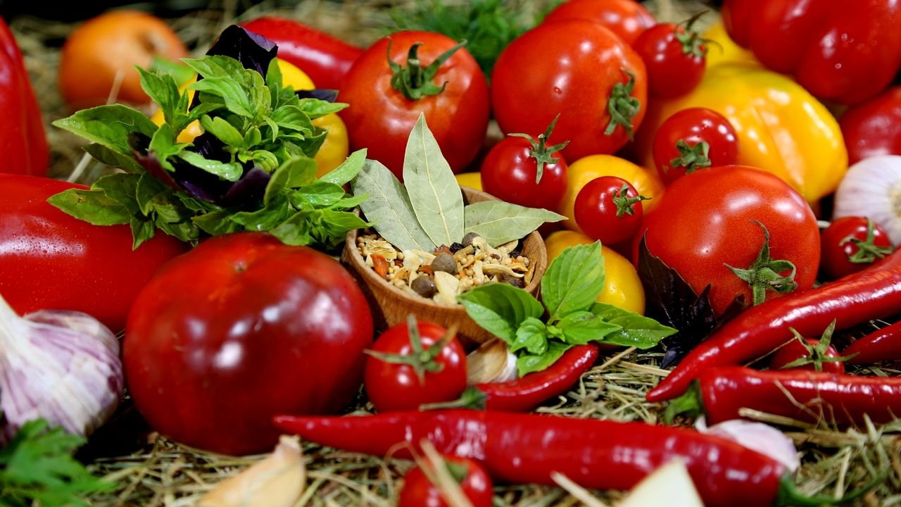 What Vegetables Can Dogs Eat? 
